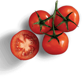 Tomaten