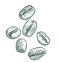 Kaffeebohnen