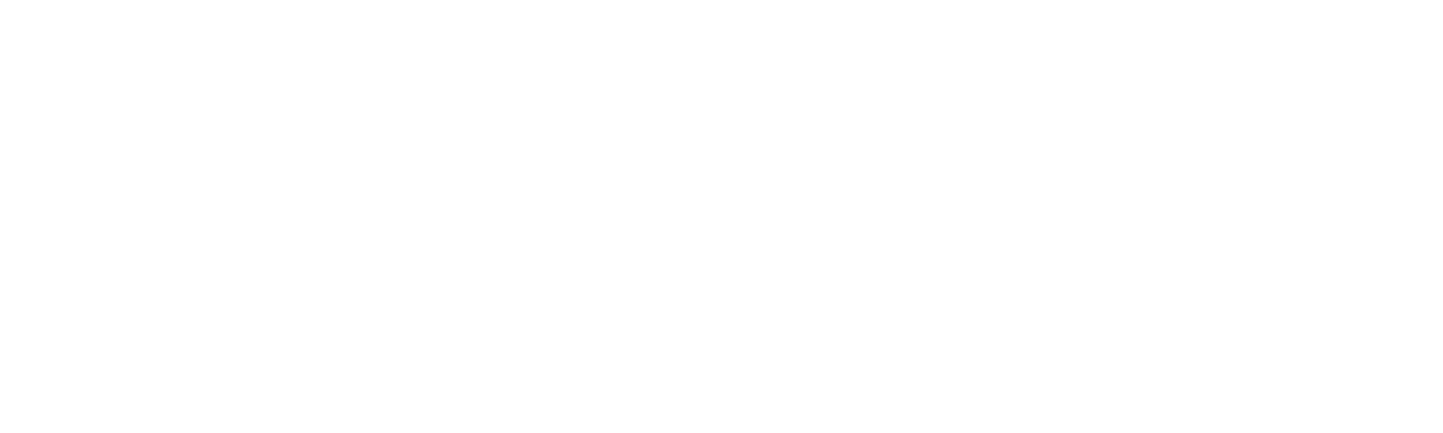 NEVALE Logo in weiß